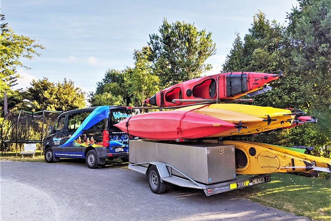 Tauranga: Evening Glowworm Kayak Tour - Should you book the Lake McLaren glow-worm tour?