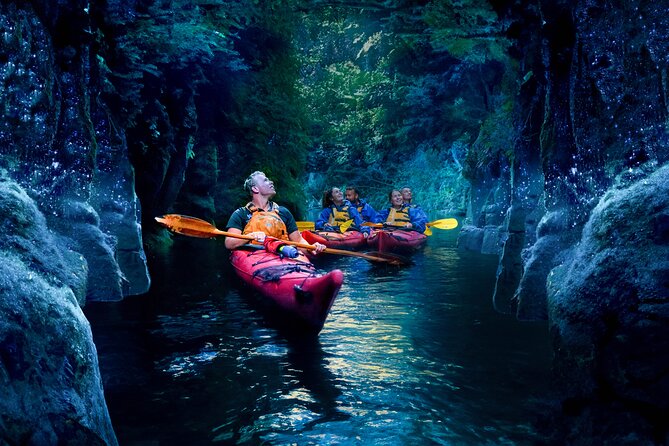Tauranga: Evening Glowworm Kayak Tour - The local tasting before sunset