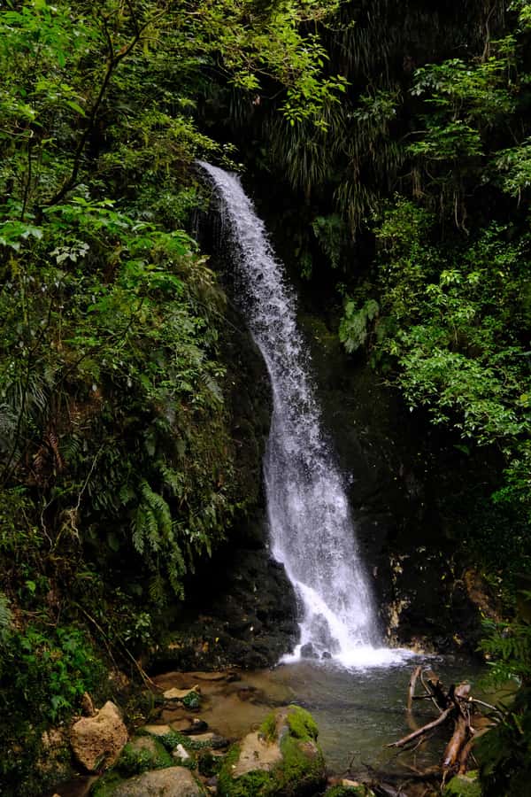 Tauranga: Kiwifruit Destination and Sights Shore Excursion - Key points at a glance