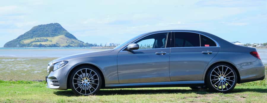 Tauranga: Kiwifruit Destination and Sights Shore Excursion - Why the orchard is the tour’s best surprise
