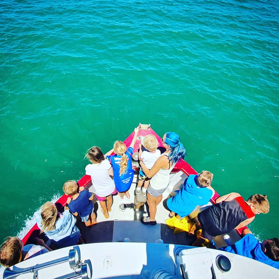 Tauranga: Mount Maunganui Harbour Sightseeing Cruise - Mount Maunganui from the water