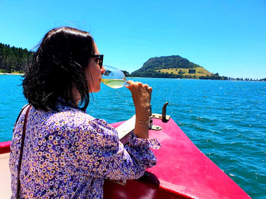Tauranga: Mount Maunganui Harbour Sightseeing Cruise - A one-hour introduction to Tauranga Harbour