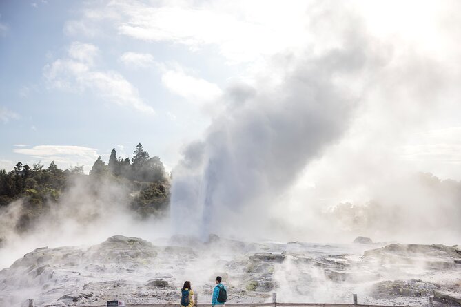 Tauranga Private Excursion: Rotorua -Te Puia-Geysers & Kiwi's - Key points at a glance