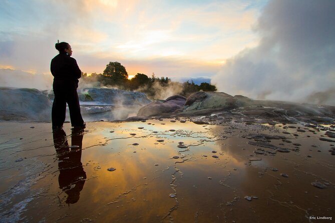 Tauranga Private Excursion: Rotorua -Te Puia-Geysers & Kiwi's - Why Rotorua makes sense from Tauranga