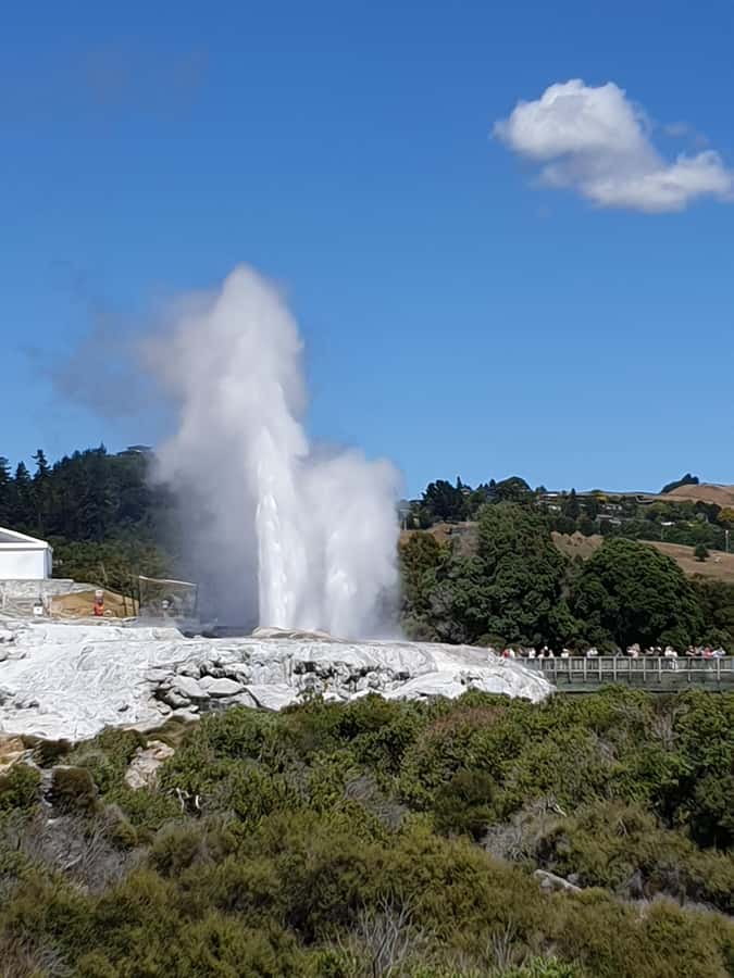Tauranga: Rotorua Redwoods Tour & Maori Village Experience - Whakarewarewa, where geothermal power meets living culture