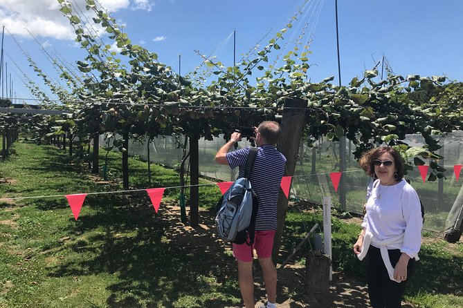 Tauranga Shore Excursion: History & Kiwifruit Tasting – 4 Hours - Key points to know before booking