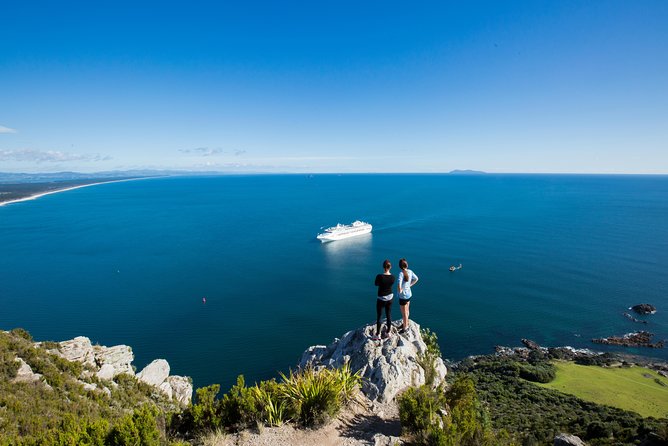 Tauranga Shore Excursion: History & Kiwifruit Tasting – 4 Hours - Why the orchard is the heart of the experience
