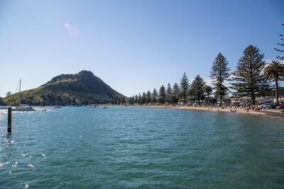 Tauranga Shore Excursion: History & Kiwifruit Tasting – 4 Hours