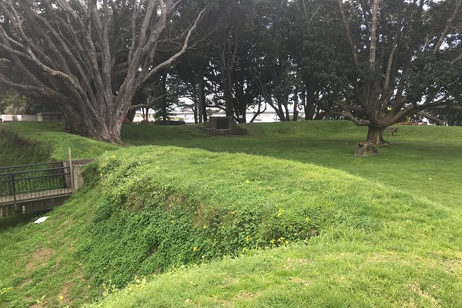 Tauranga Shore Excursion: History & Kiwifruit Tasting – 4 Hours - The guides make a noticeable difference