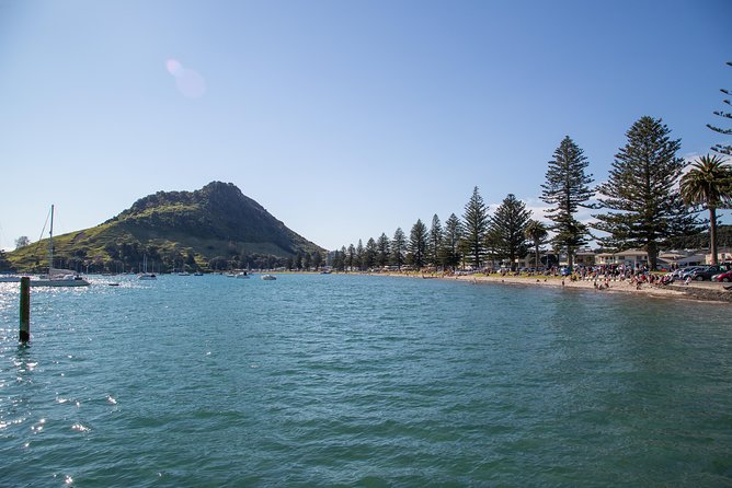Tauranga Shore Excursion: History & Kiwifruit Tasting – 4 Hours - Mount Maunganui gives the tour its coastal appeal