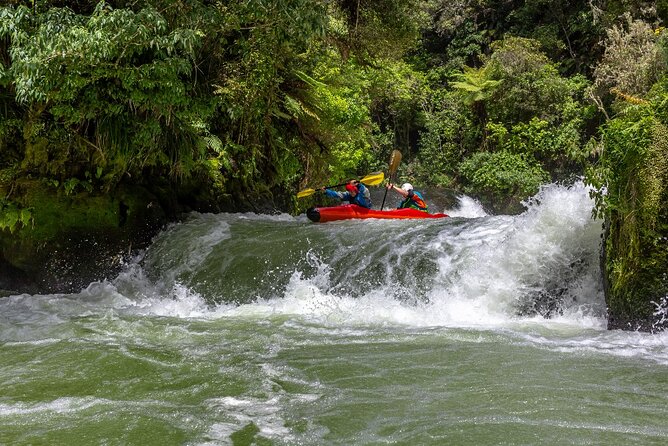 Tauranga Shore Excursion: Rotorua Highlights - Why Whakarewarewa makes this Rotorua trip worthwhile