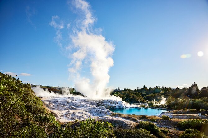 Tauranga Shore Excursion: Rotorua Highlights - Lunch in Rotorua, with the bill left to you
