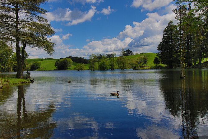 Tauranga Shore Excursion: Top Half Day Curated Highlights Tour - Key points to know before you book