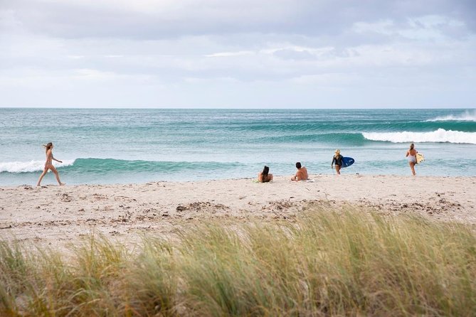 Tauranga Shore Excursion: Top Half Day Curated Highlights Tour - What this Tauranga shore excursion does well