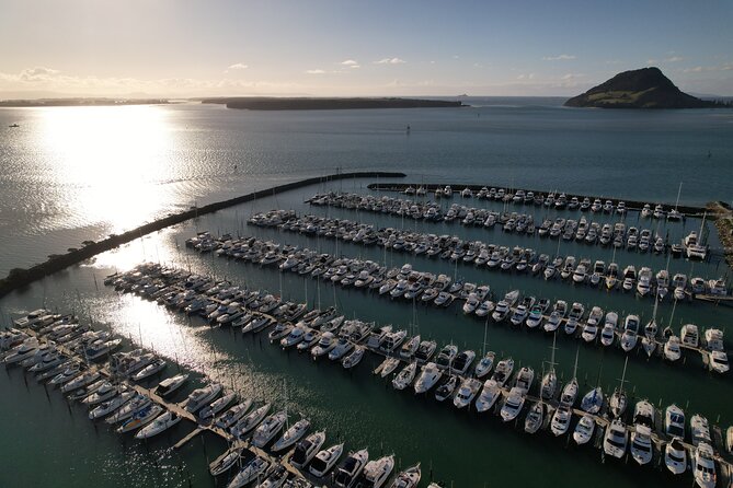 Tauranga Shore Excursion: Top Half Day Curated Highlights Tour - Te Puna and the kiwi-growing story