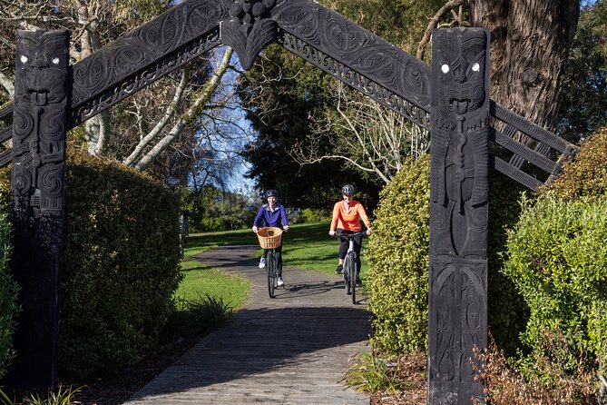 Tauranga Shore Excursion: Top Half Day Curated Highlights Tour - McLaren Falls Park: the day’s natural highlight