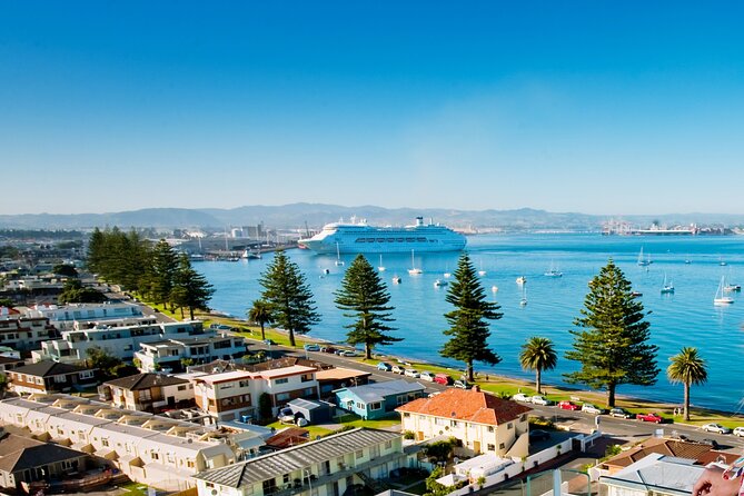 Tauranga Shore Excursion: Top Half Day Curated Highlights Tour - Starting at the Port of Tauranga in Mount Maunganui