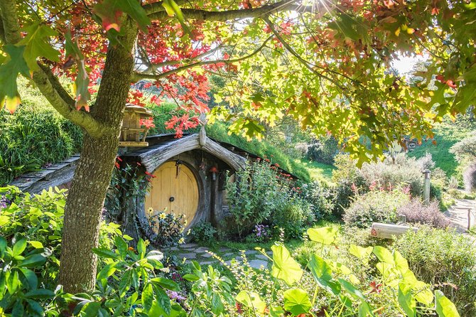 Tauranga to Magical Hobbiton Movie Set - Private Shore Excursion - Key points to know before booking