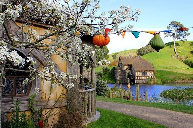 Tauranga to Magical Hobbiton Movie Set - Private Shore Excursion - Who will enjoy this most