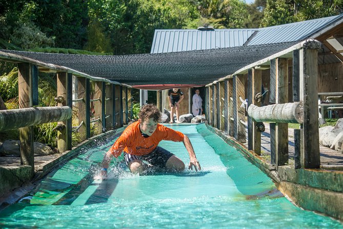 Tauranga: Waimarino Adventure Park - A family water park with room to set your own pace