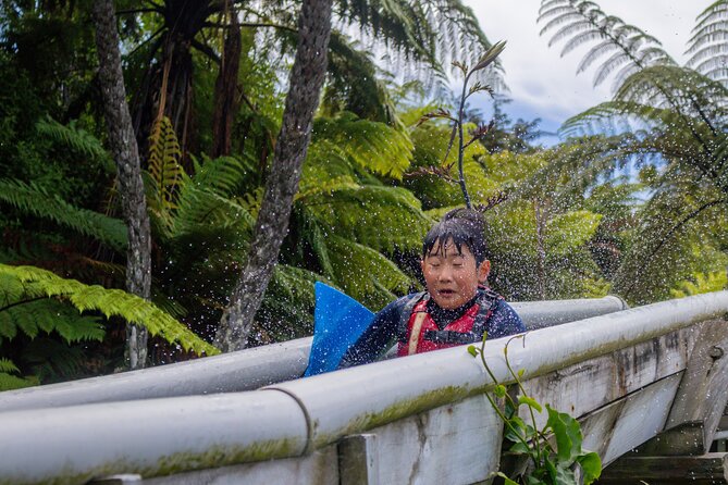 Tauranga: Waimarino Adventure Park - Water trampolines, slides, and the BLOB