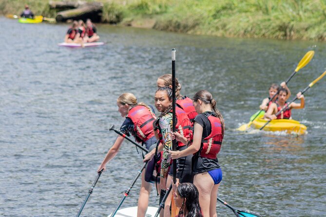 Tauranga: Waimarino Adventure Park - Who will enjoy Waimarino most