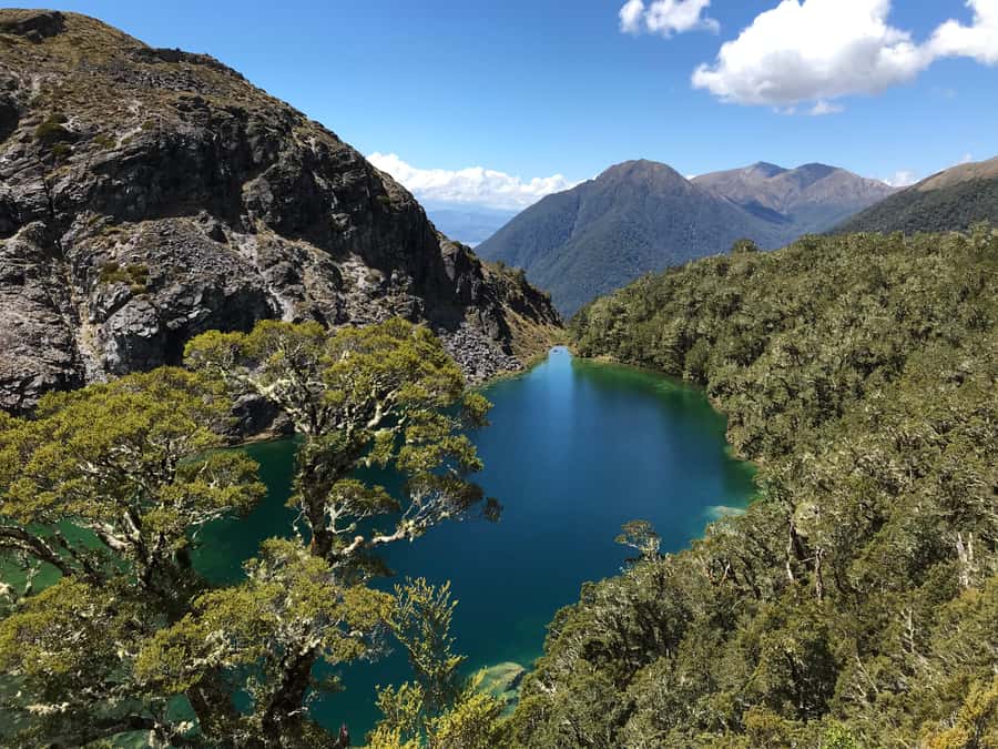Te Anau: 30-Minute Fiordland National Park Scenic Flight - Leaving Te Anau and crossing the Kepler country