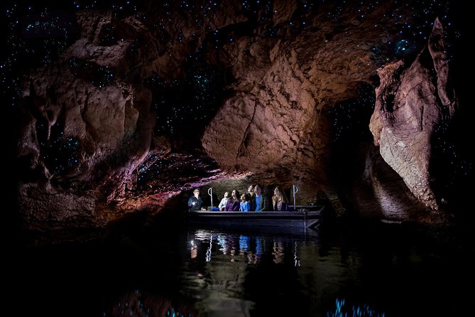 Te Anau Glow Worm Caves Tour - Key points before you book