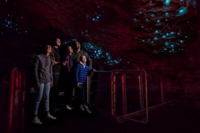 Te Anau Glow Worm Caves Tour