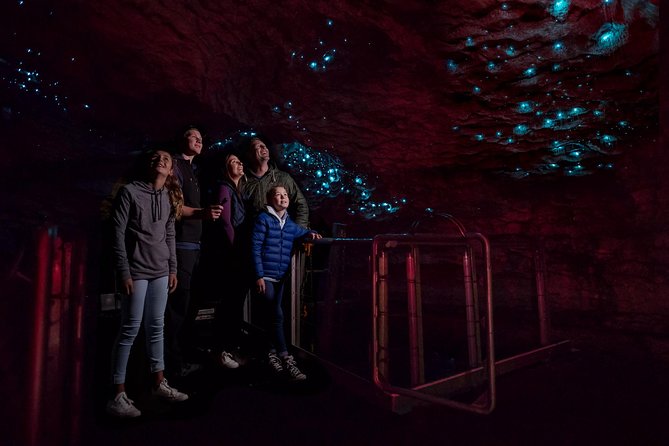 Te Anau Glow Worm Caves Tour - Walking beside the underground river
