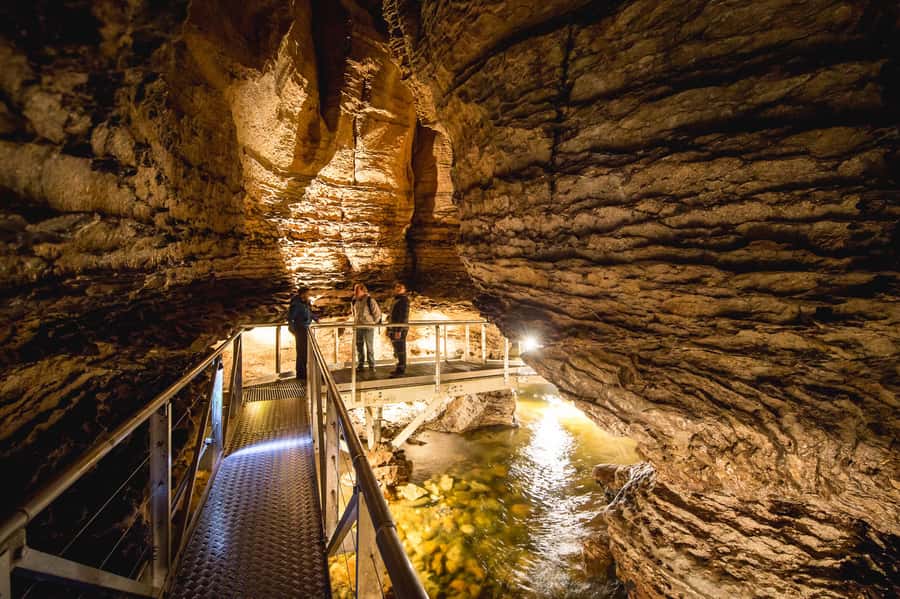 Te Anau: Glowworm Caves Guided Tour - Why the cave is more than a glowworm stop