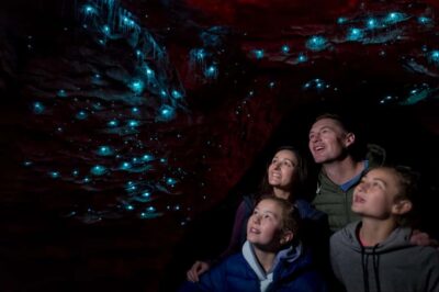 Glowworm Caves Guided Tour