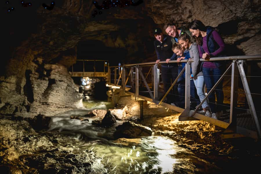 Te Anau: Glowworm Caves Guided Tour - The small boat into the glowworm grotto