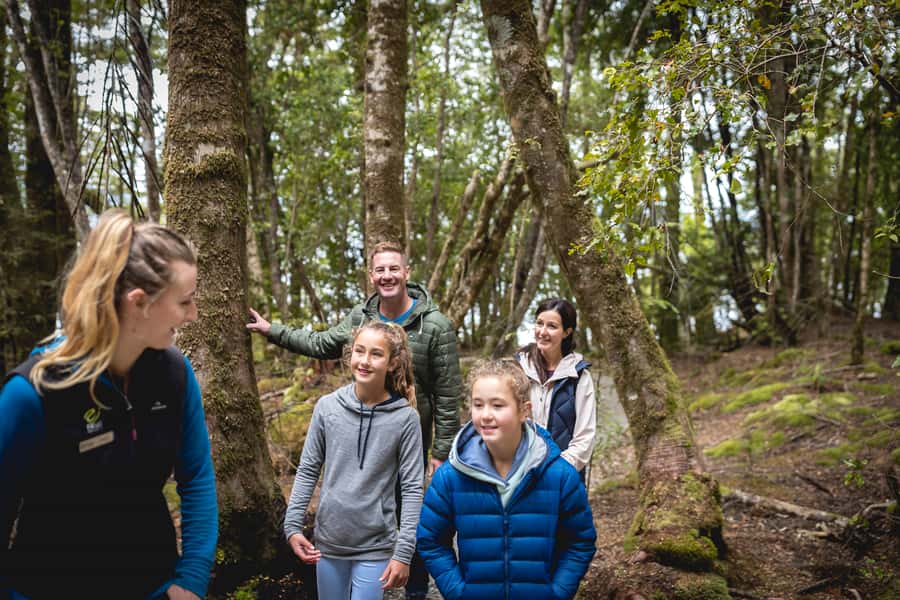 Te Anau: Glowworm Caves Guided Tour - A short lesson after the lights come back
