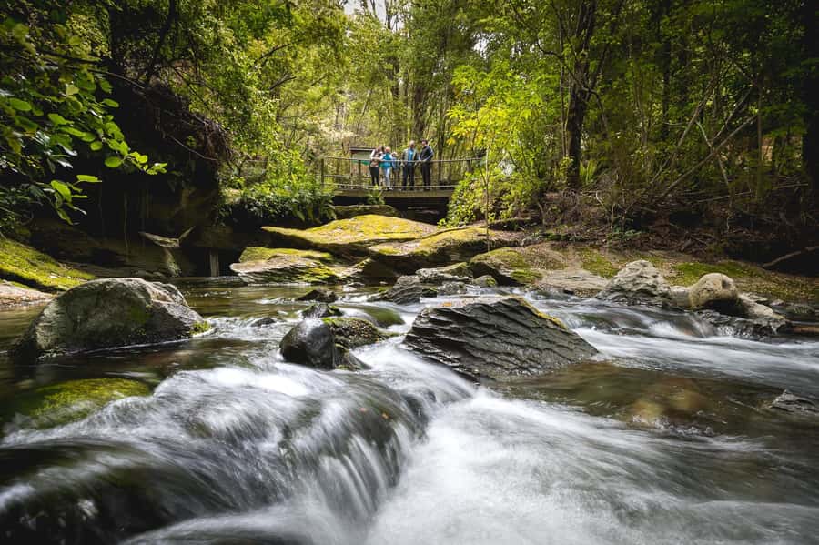 Te Anau: Glowworm Caves Guided Tour - Is $77 good value for this Te Anau outing?