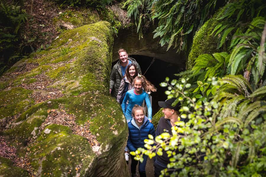 Te Anau: Glowworm Caves Guided Tour - Who should book, and who should skip it?