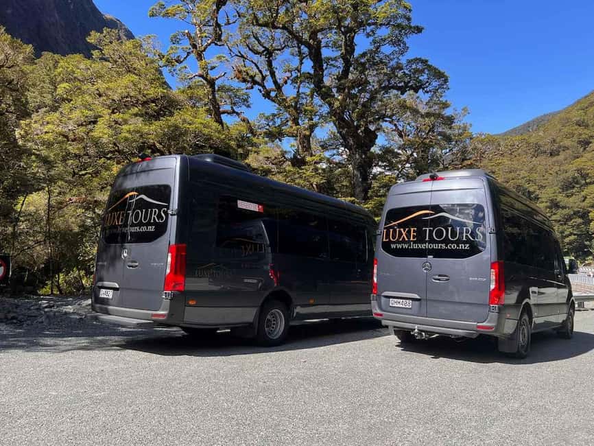 Te Anau: Premium Milford Sound Full Day Tour and Cruise - Lake Gunn and the Hollyford Valley