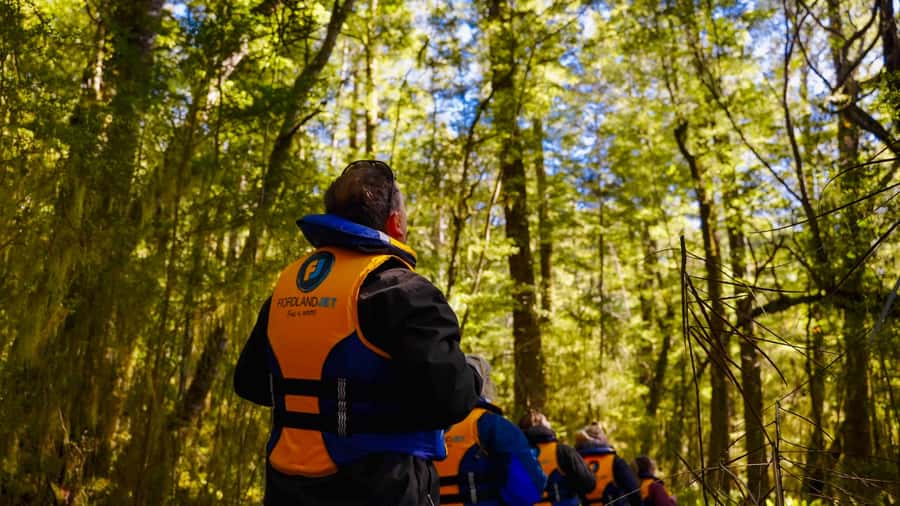 Te Anau: River Jet Boat and Bike Ride Tour with Local Guide - Why this four-hour outing works so well