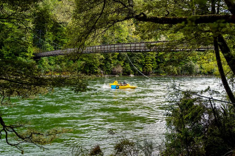 Te Anau: River Jet Boat and Bike Ride Tour with Local Guide - A 15-minute walk through Fiordland beech forest