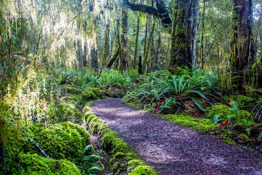 Te Anau: River Jet Boat and Bike Ride Tour with Local Guide - Weather, clothing, and practical comfort