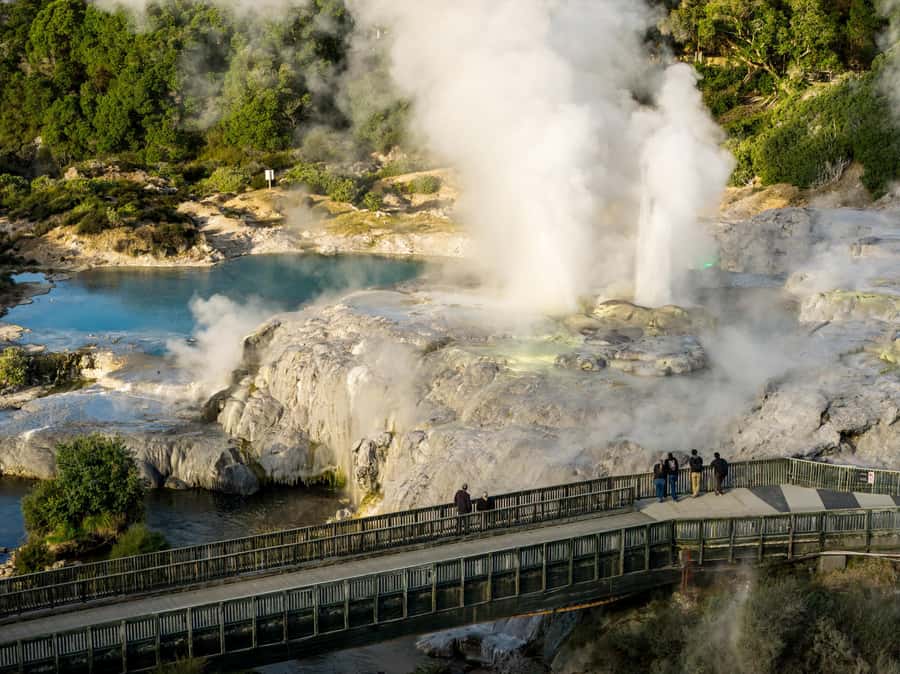 Te Puia: Te Rā Guided Day Tour - The kiwi visit is brief but special