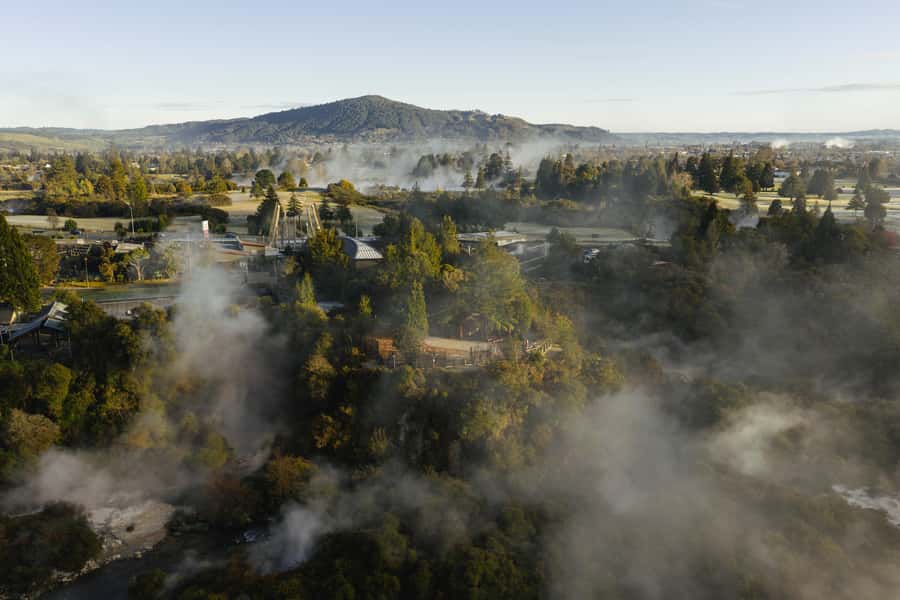 Te Puia: Te Rā Guided Day Tour - Your guide shapes the whole 90 minutes