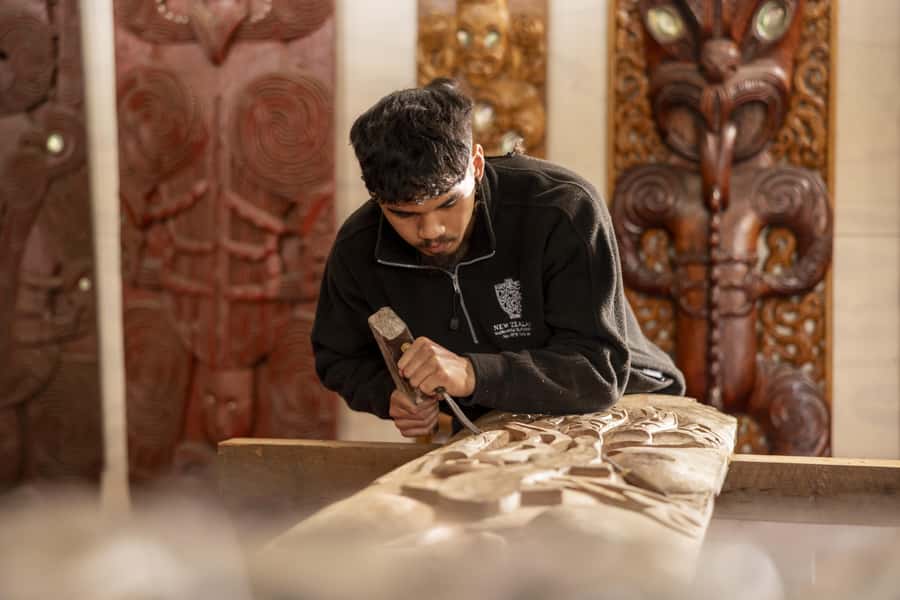 Te Puia: Te Rā Guided Day Tour - Who will enjoy this most?