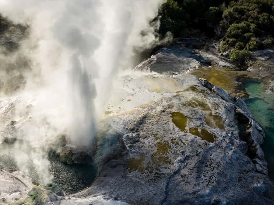 Te Puia: Te Rā Guided Day Tour - Should you book Te Rā?
