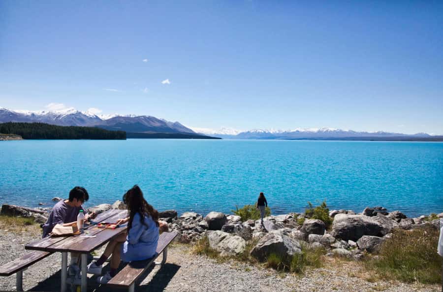Tekapo Shuttle: Mt Cook Day Tour via Pukaki & Tasman Lake - Tasman Glacier View Track and Tasman Lake