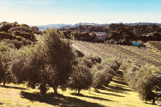 The Boutique Experience: Waiheke Best Cellar Tour (11 guests max) - Practical details for a smoother day