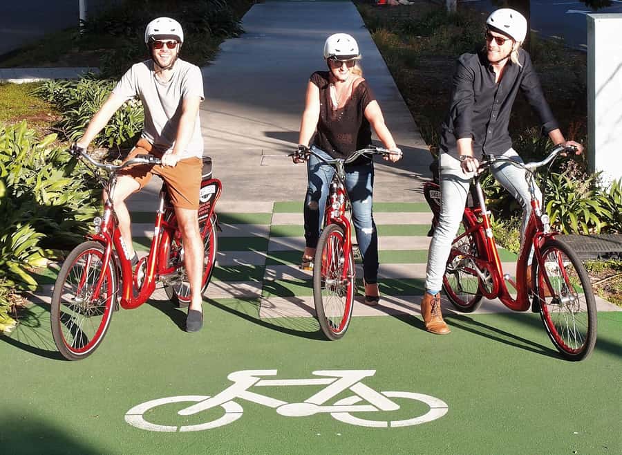 The Classic: Discover Amazing Auckland on an Electric Bike - Starting at Princes Wharf in the city center