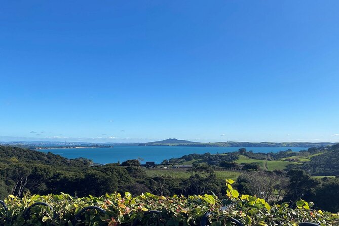 The Essence of Waiheke Wine Tour - How much value do you get for $186.17?