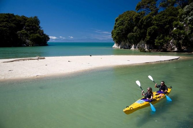 The Family Cruiser - Sea caves, cormorants, and the value of a slower pace