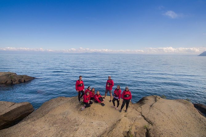 The Maori Carvings Half Day Kayak - Why the Maori Rock Carvings matter